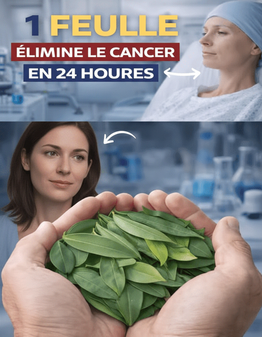 La Feuille Insoupçonnée : Le Secret de Barbara O'Neill Contre le Cancer Révélé