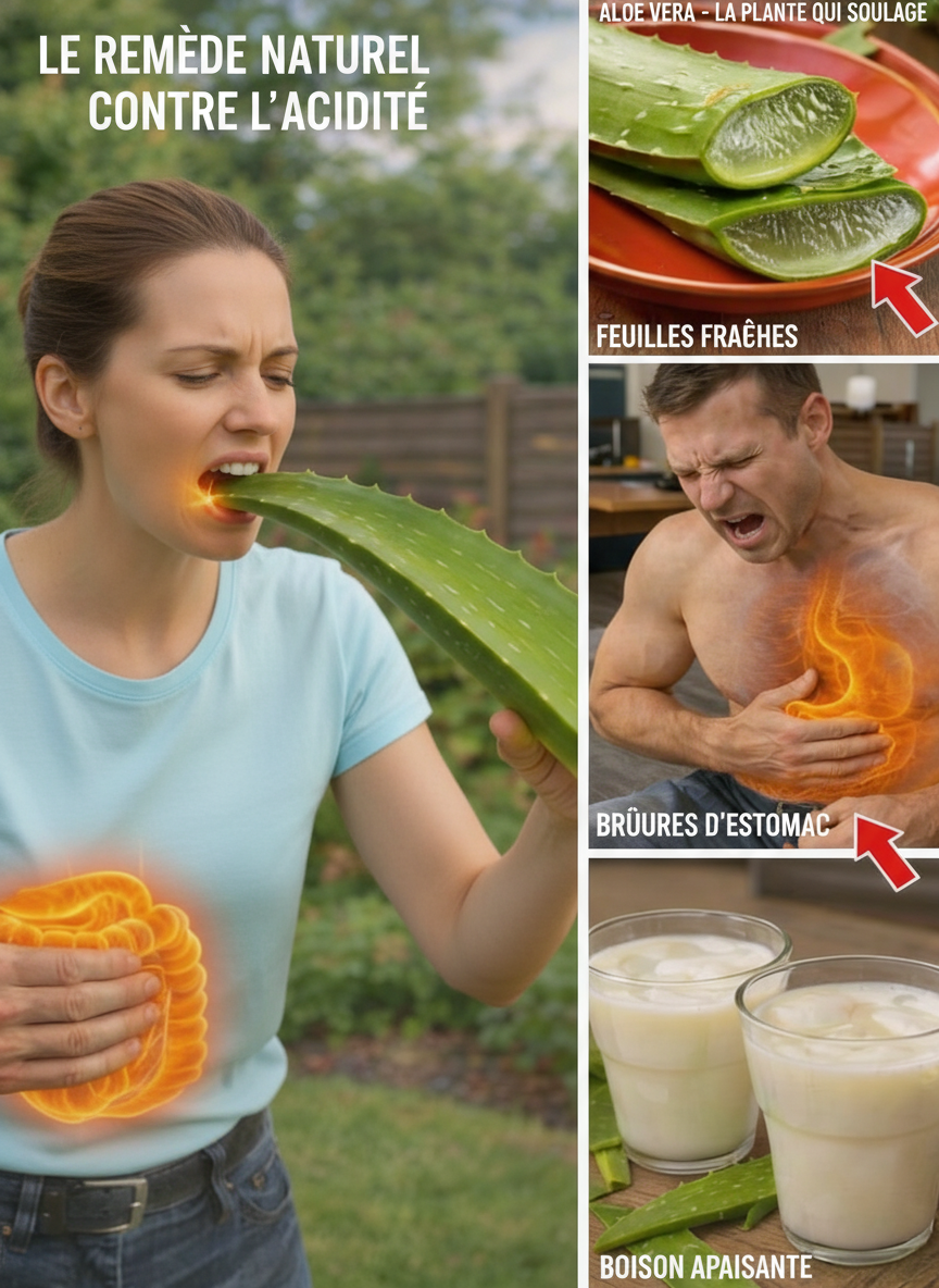 Boire de l'Eau d'Aloès Vera Chaque Jour ? Découvrez 17 Bienfaits Étonnants et Notre Guide de Préparation Sûre à la Maison