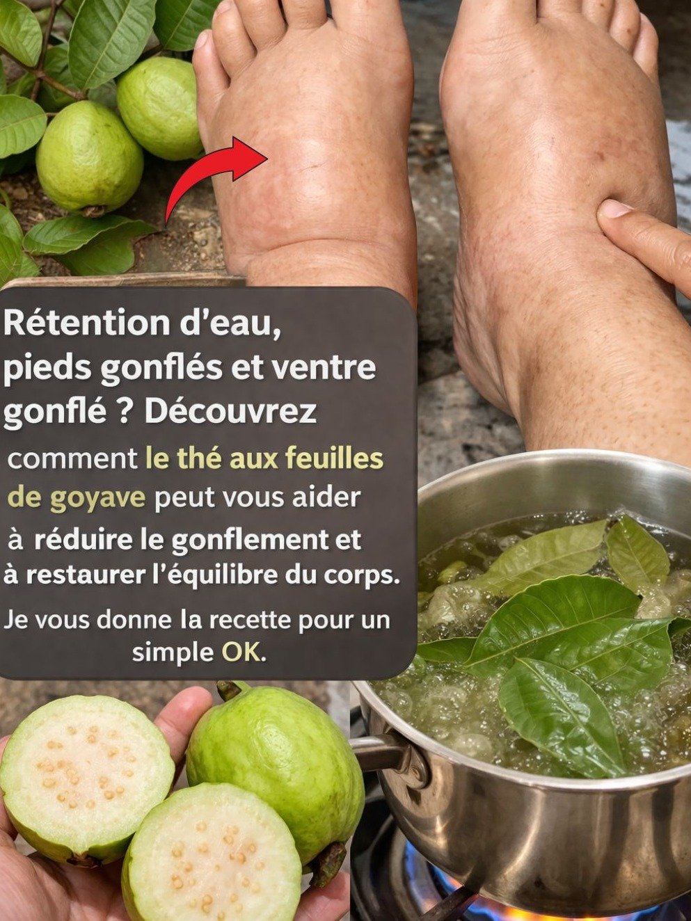 Le Secret Millénaire pour Dégonfler Instantanément : Cette Plante Oubliée Va Éliminer Votre Rétention d'Eau !