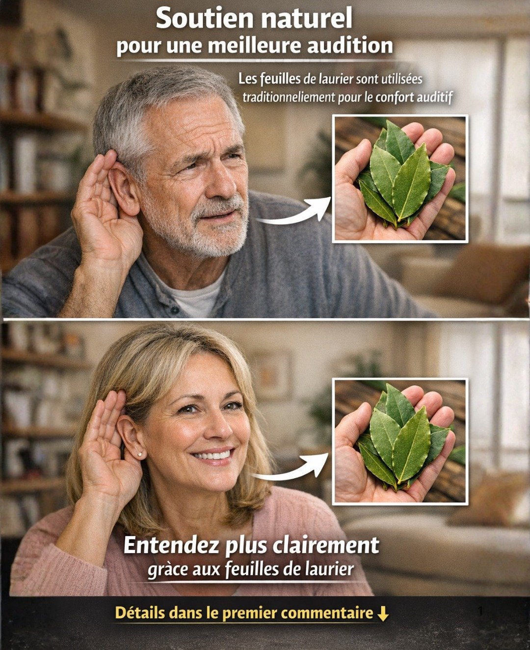 Le Laurier : Un Allié Naturel pour Soutenir votre Santé Auditive ? Propriétés et Usages Traditionnels