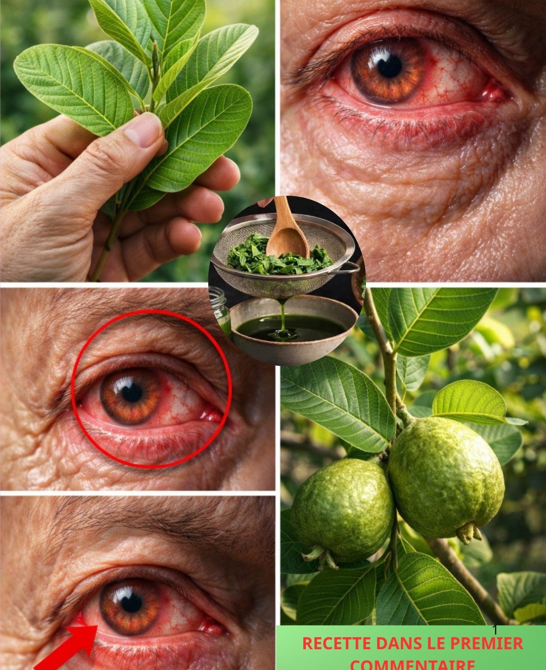 Les bienfaits insoupçonnés de la goyave pour la santé de vos yeux : des remèdes naturels à découvrir