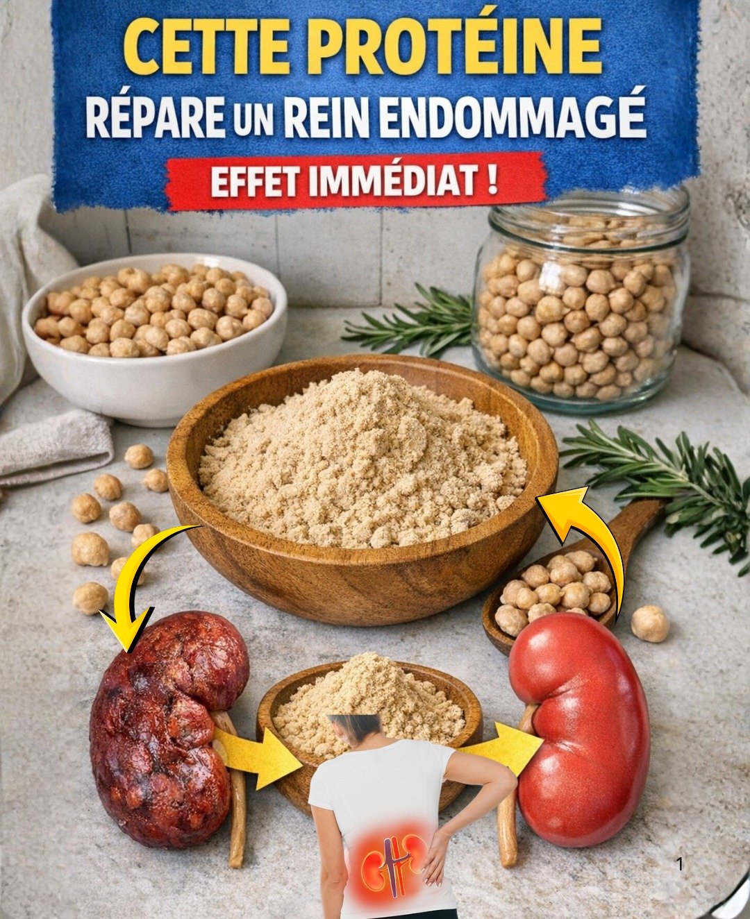 Maladie Rénale : 4 Protéines Essentielles et 6 à Proscrire Absolument pour Protéger vos Reins