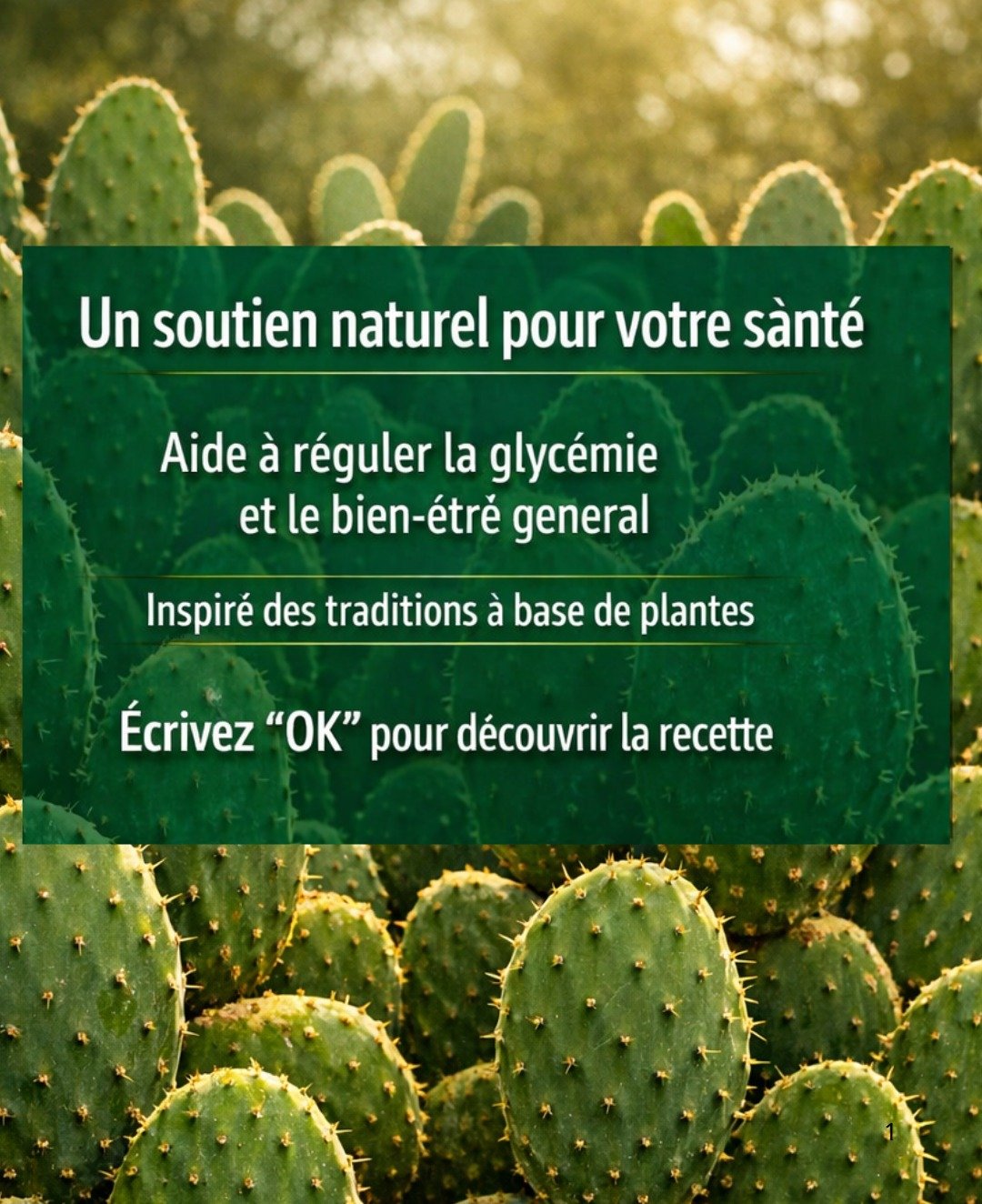 Le Nopal : le "miracle du désert" et ses multiples vertus pour la santé.