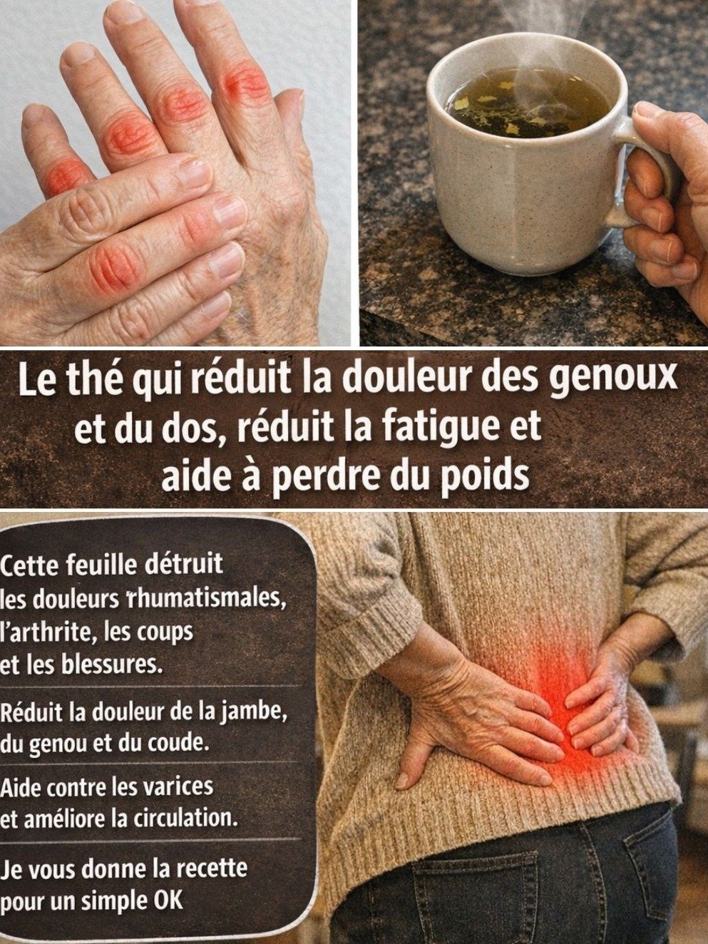 Le Thym : La SEULE Plante que Vous DEVEZ Avoir chez Vous ! Découvrez Ses 6 Pouvoirs Insoupçonnés pour une Santé de Fer.