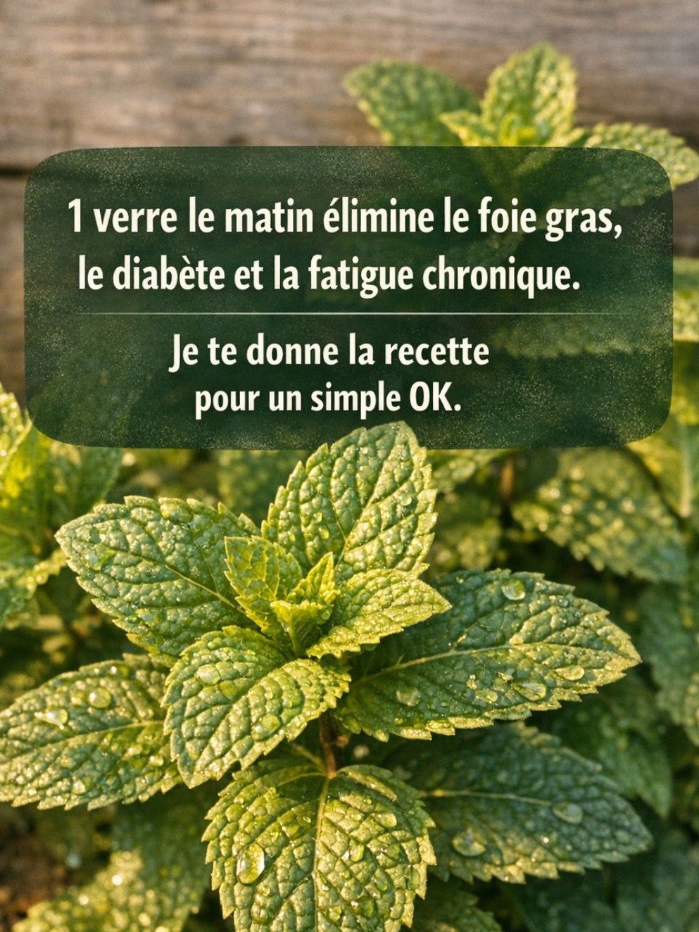 Le Duo Révolutionnaire : Menthe & Citron ! Découvrez Comment Ce Remède Maison Nettoie, Rajeunit et Vous Redonne une Énergie Incroyable en Quelques Minutes (Ne Manquez Pas Ça !)