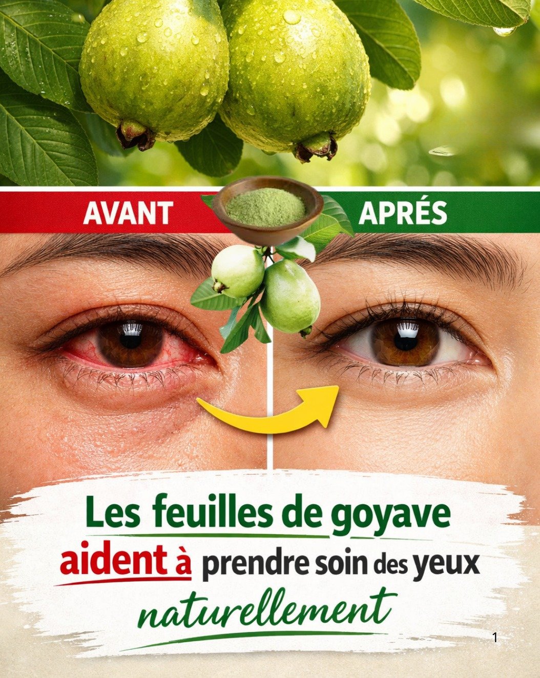 Arrêtez tout ! Le remède naturel aux feuilles de goyave qui va RÉVOLUTIONNER vos yeux fatigués et irrités !