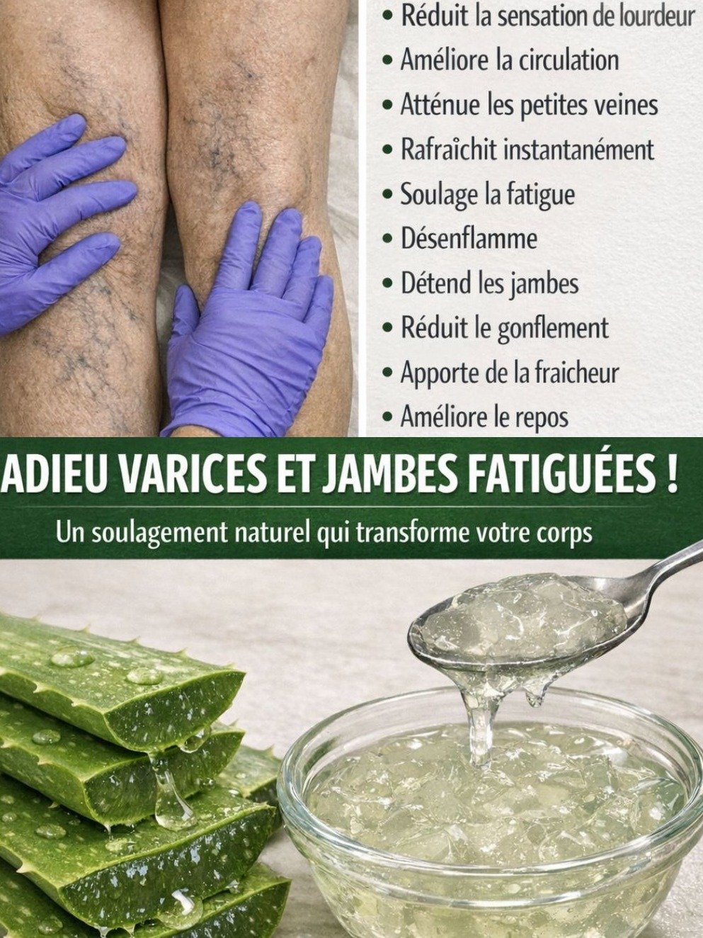 Le Secret Ultime pour des Jambes Incroyablement Légères : L'Aloe Vera Révèle Sa Magie Contre les Varices !