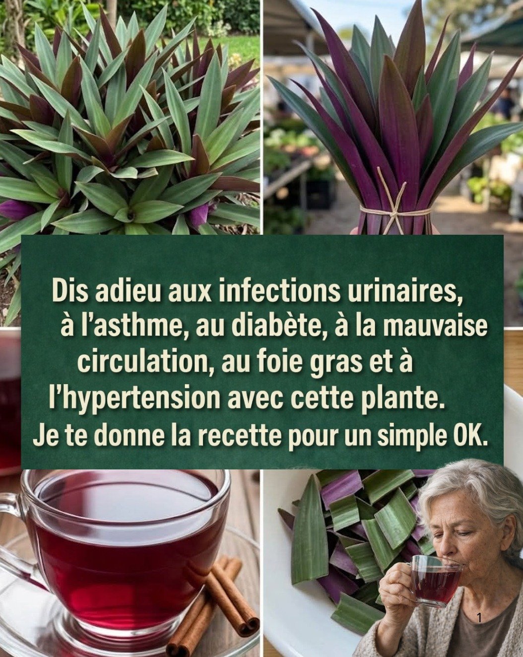 Le Secret Violet Que Personne Ne Vous Dit : 6 Bienfaits Incroyables du Maguey Morado Pour Une Santé Optimale (Et La Recette Facile) !