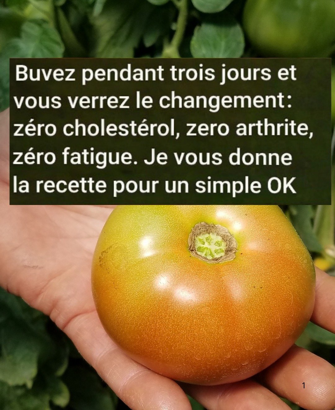 Boisson naturelle pour un cholestérol équilibré et une inflammation réduite : la recette complète pas à pas