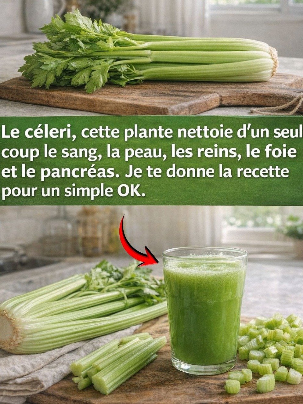 Le Secret Vert VirAL : Ce Jus de Céleri va Révolutionner Vos Reins, Foie et Poumons (La Recette Que Tout le Monde Cherche) !