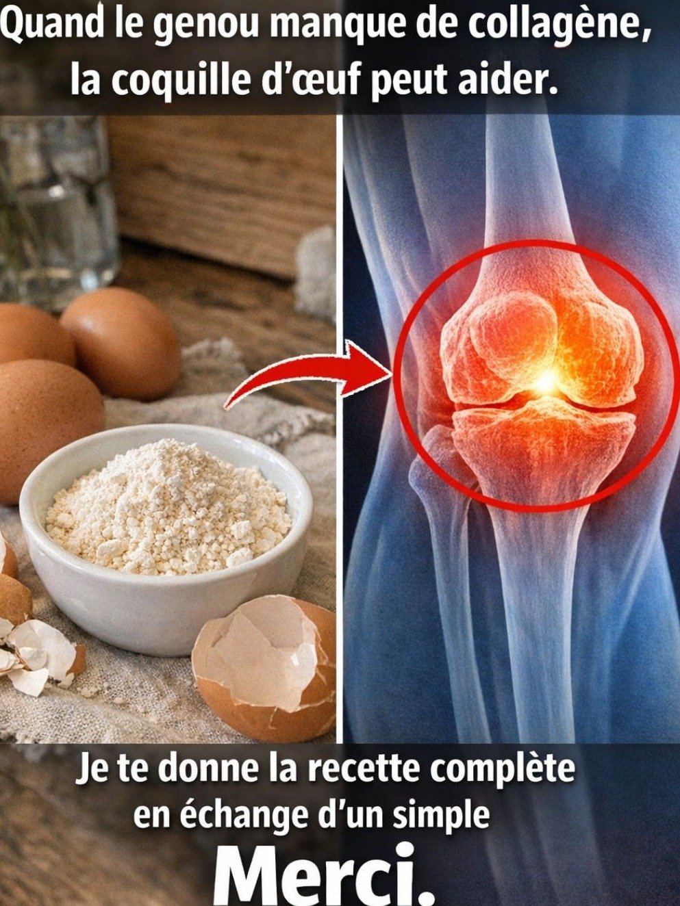 STOP ! Vous jetez un TRÉSOR INSOUPÇONNÉ : La Révélation GRATUITE pour des OS en BÉTON ! 🥚✨