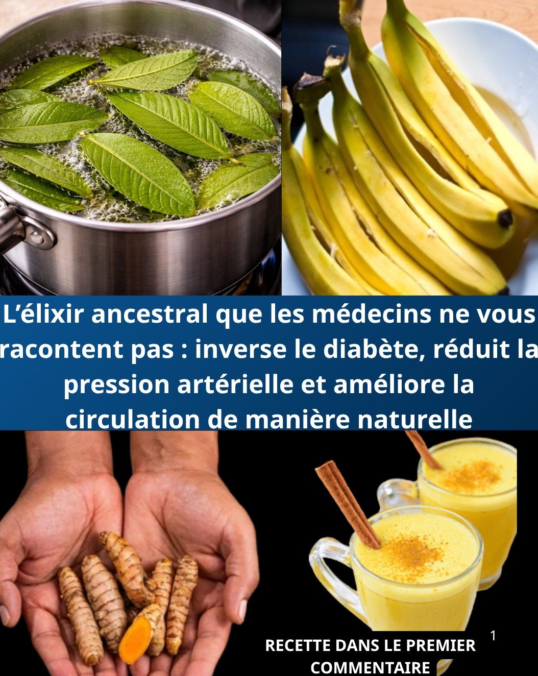 L'Élixir Ancestral Que Les Médecins NE VOUS DIRONT JAMAIS : Dites Adieu Au Diabète, À L'Hypertension Et Aux Problèmes De Circulation Naturellement !
