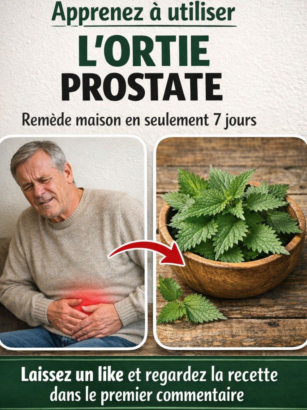 Le Secret Naturel Que Chaque Homme de +40 Ans Doit Connaître : 20 Bienfaits Surprenants de l'Ortie Pour Votre Prostate et Vos Nuits !