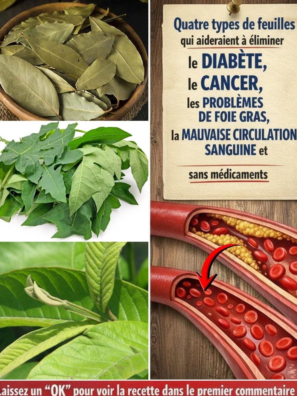 Le Secret Révélé : 4 Feuilles Puissantes Qui Peuvent Éradiquer Diabète, Cancer, Foie Gras, Hypertension et Mauvaise Circulation ! Ne Passez Pas À Côté !