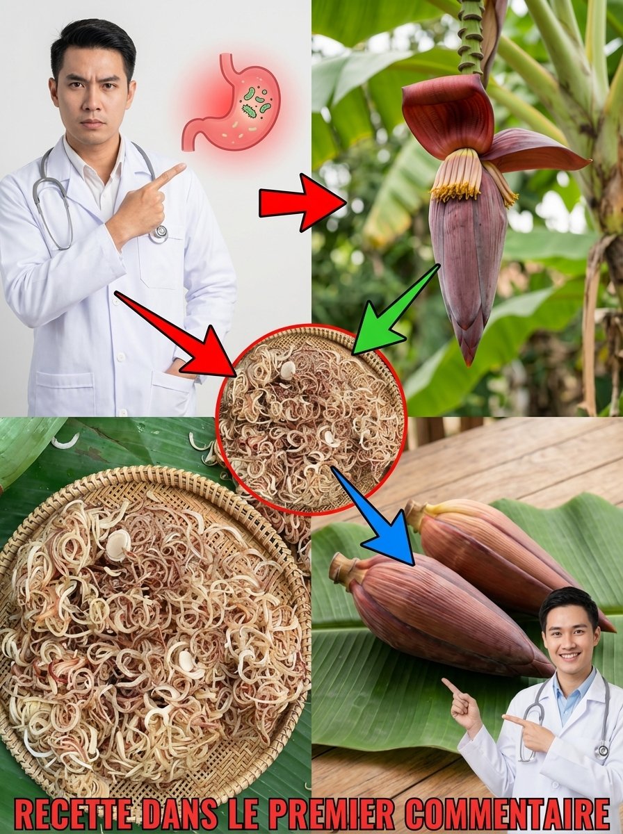 Le Secret Oublié : Cette Fleur Bannie Révèle le Pouvoir Ultime Contre Diabète, Hypertension et Maux d'Estomac Chroniques ! (Ne la jetez PLUS jamais !)