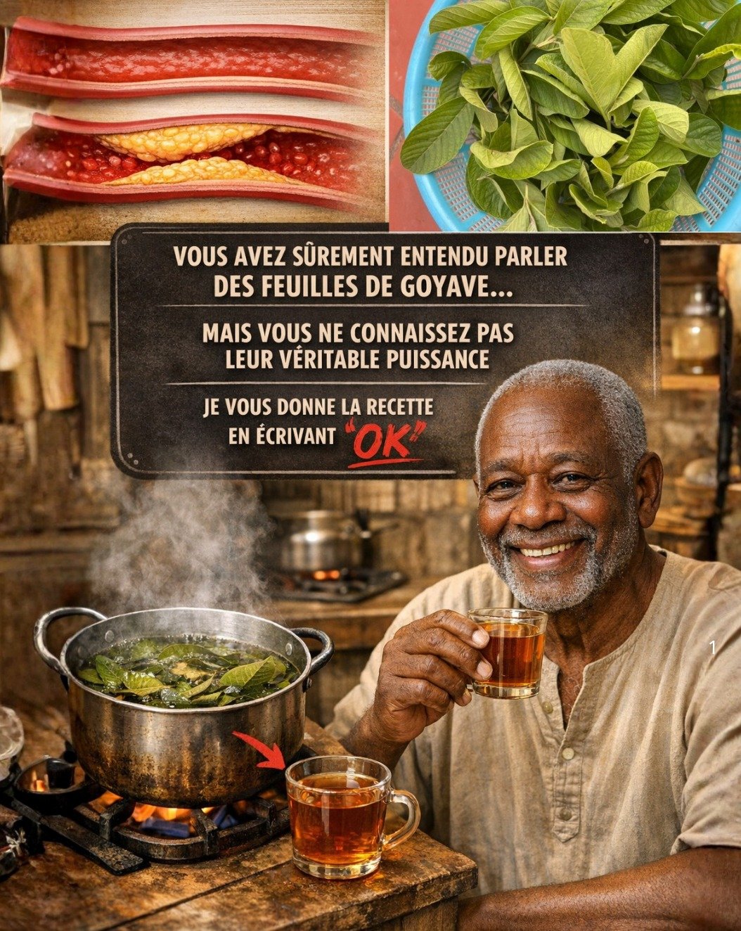 Le Secret Millénaire Oublié : 30 Bienfaits Incroyables et 20 Propriétés Révélées du Thé de Feuilles de Goyavier (Que Personne Ne Vous Dira !)