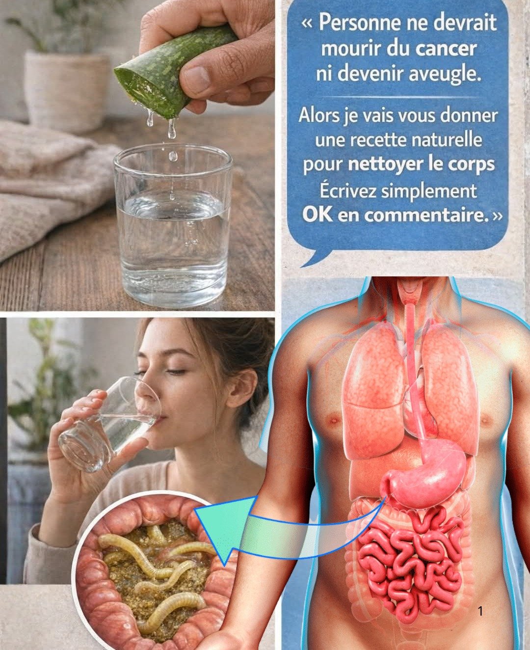 L'Aloe Vera : 16 Bienfaits Étonnants pour Votre Santé et Votre Beauté 🌿✨