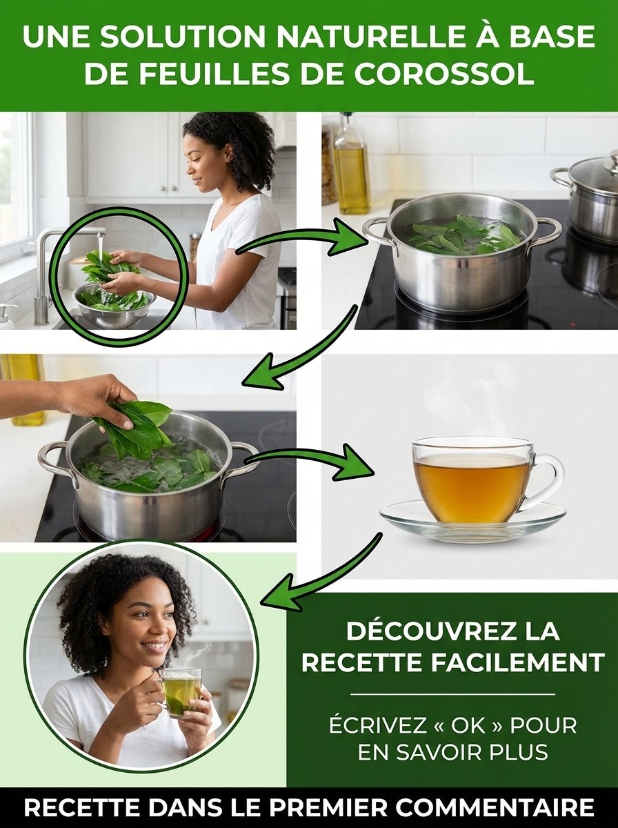 Le Secret Oublié des Caraïbes : Ces Feuilles de Corossol Vont Révolutionner Votre Santé et Éteindre l'Inflammation !