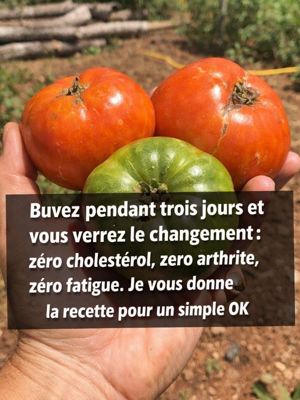 Cholestérol, Inflammations : Le Jus 'Miracle' Que Votre Corps Réclame ! Une Recette Simple Pour Tout Changer (Ne Le Manquez Pas) !