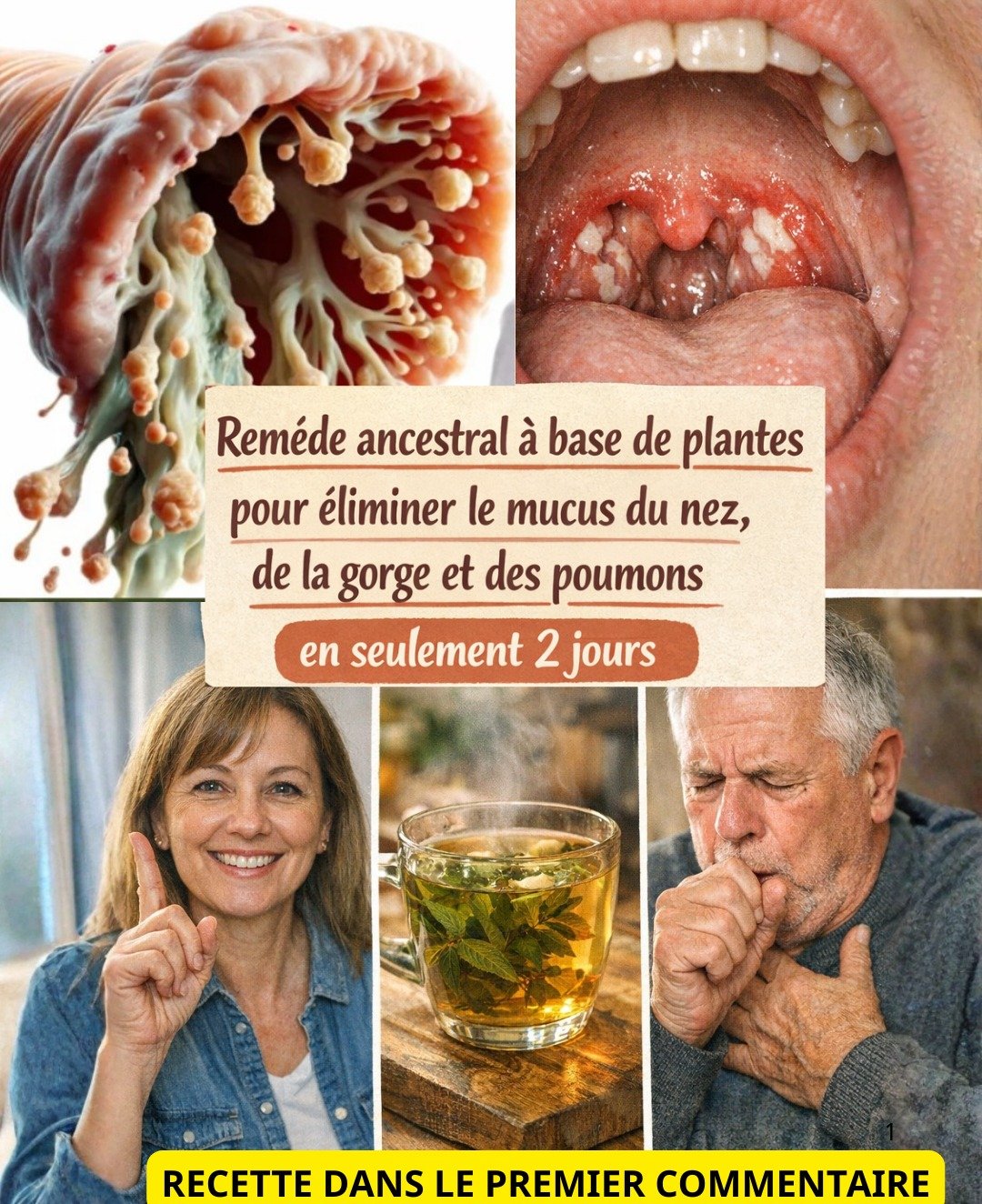 Dégagez Vos Voies Respiratoires en Seulement 2 Jours : Le Secret Ancestral des Feuilles de Sauge