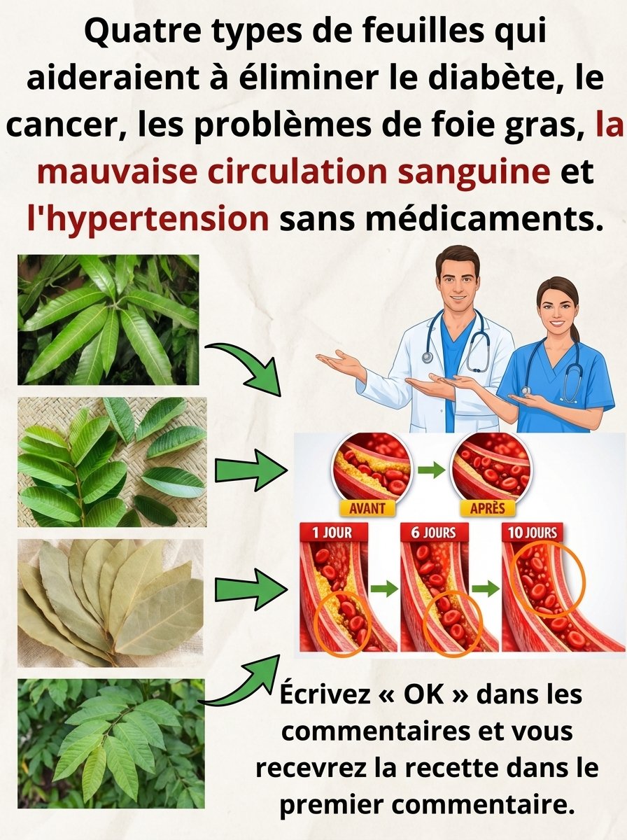 Révélation Choc : Ces 4 Feuilles Communes Vont Transformer Votre Santé ! Le Secret Que Personne Ne Vous Dit...
