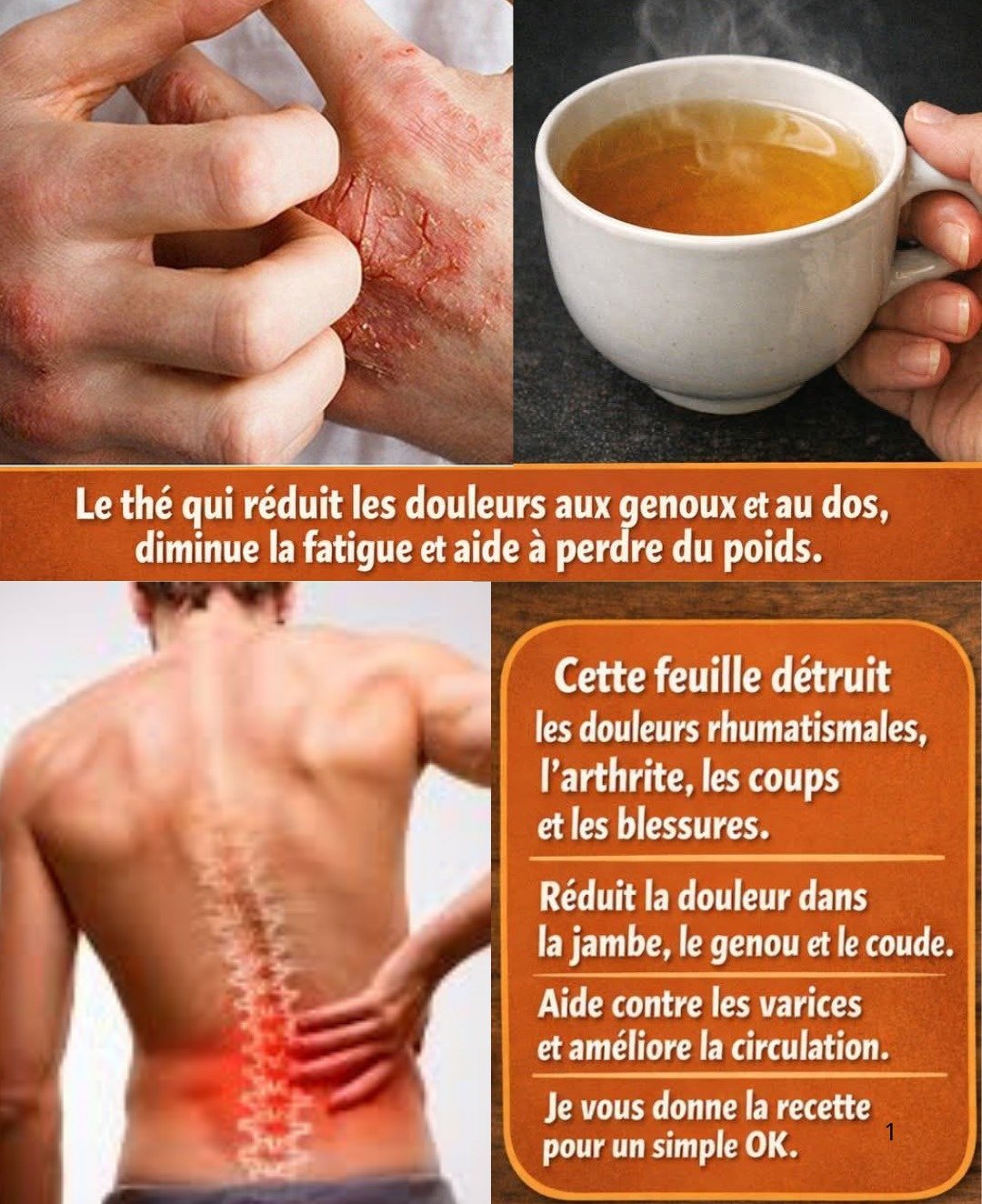 Le Thym : Une Plante Médicinale aux Vertus Remarquables pour Votre Santé