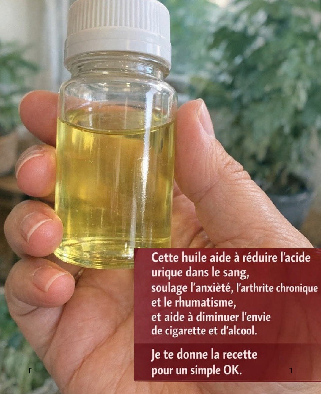 L'Huile Puissante : Votre Alliée Naturelle Contre l'Inflammation