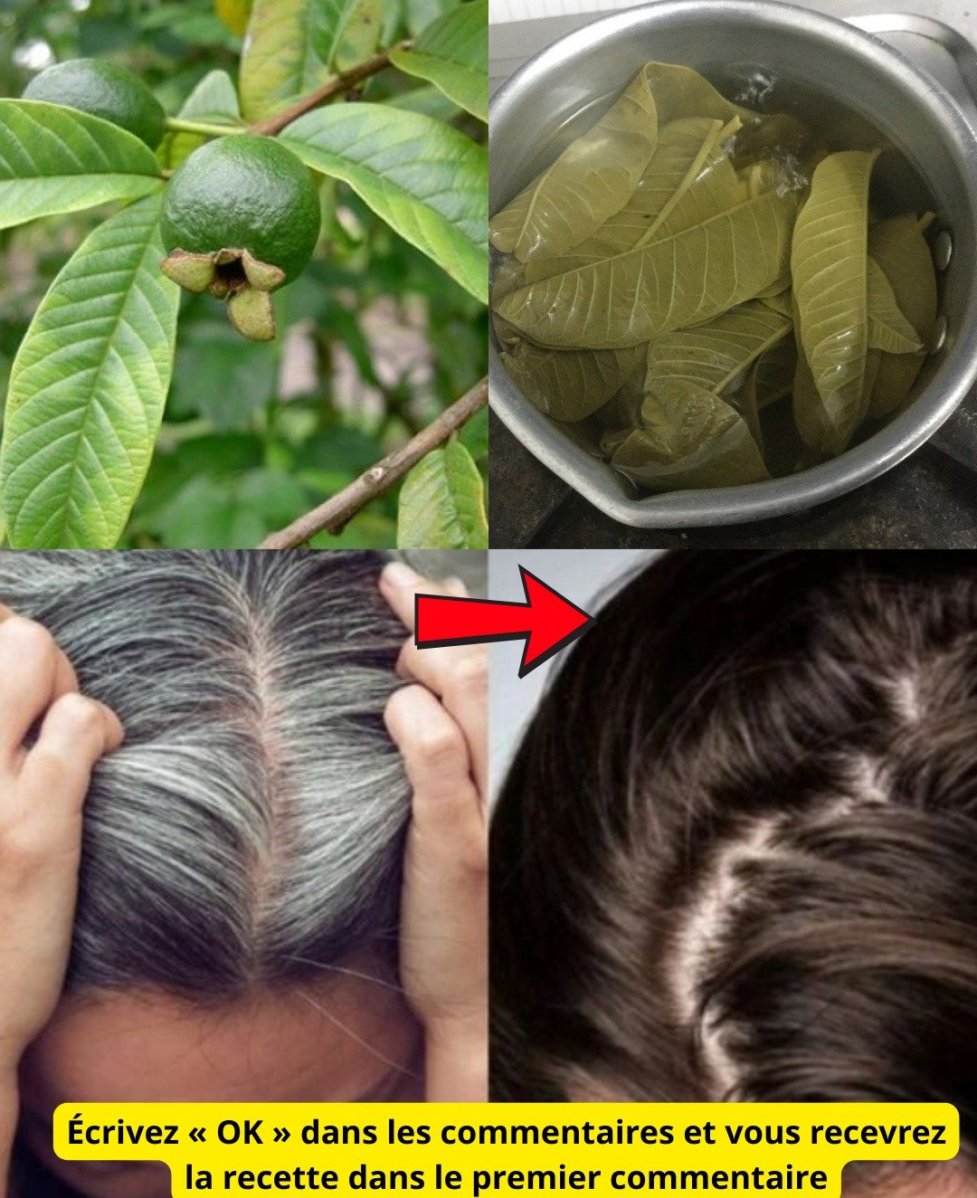 Des cheveux blancs aux cheveux foncés naturellement : recettes maison efficaces à base de feuilles végétales