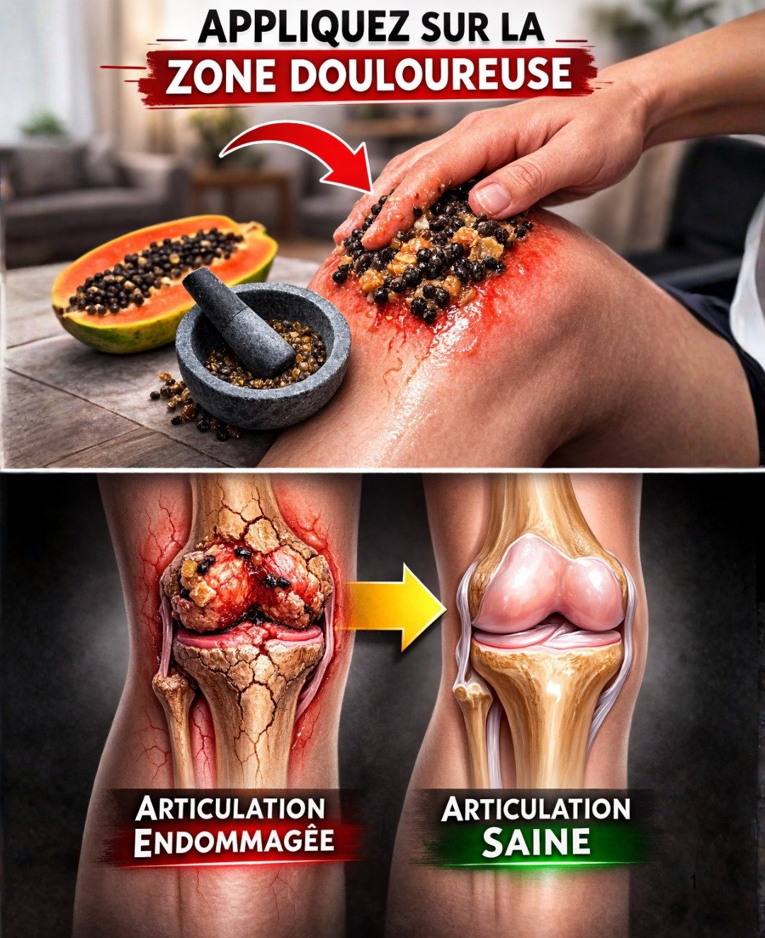 Les Graines de Papaye : Un Remède Naturel Simple pour Améliorer le Confort Articulaire et la Mobilité au Quotidien