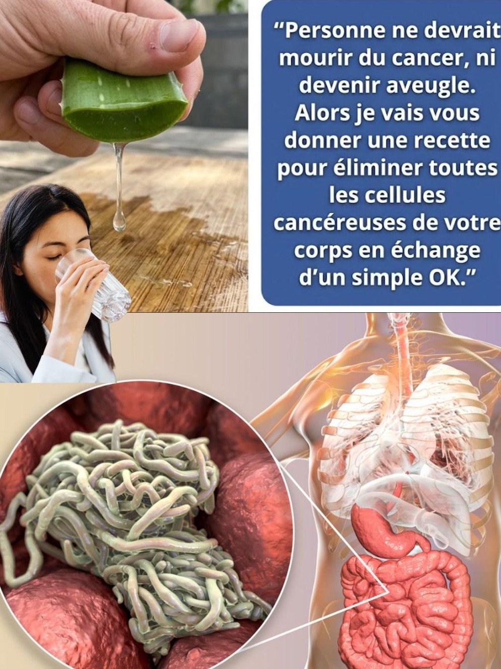 Ne Sous-Estimez JAMAIS Cette Plante ! 16 Problèmes de Santé Que l'Aloe Vera Peut RÉSOUDRE Dès Aujourd'hui 🌿