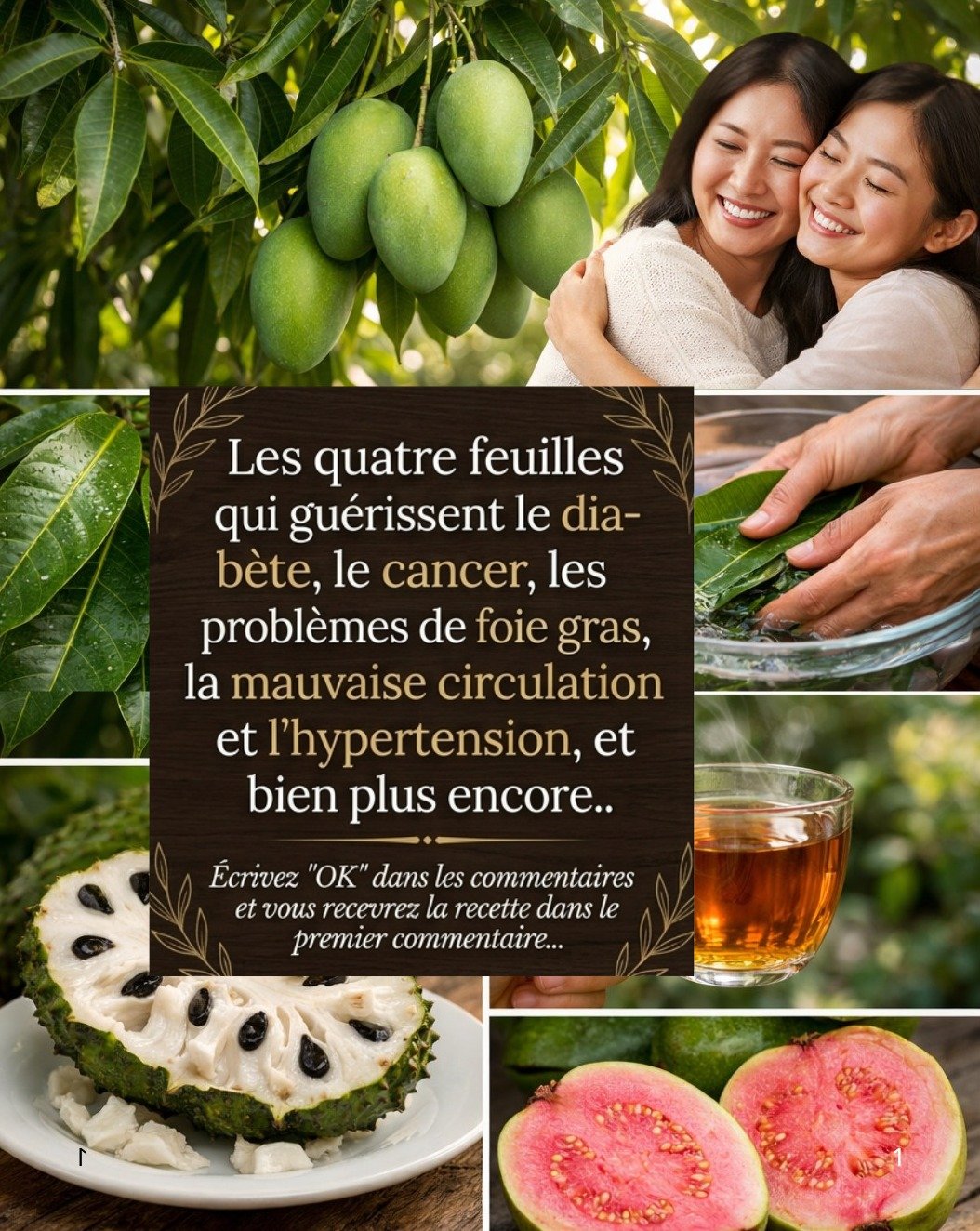 Révélation : 4 Feuilles Simples Que Personne Ne Vous Dit Pour Maîtriser Diabète et Tension Artérielle Naturellement !