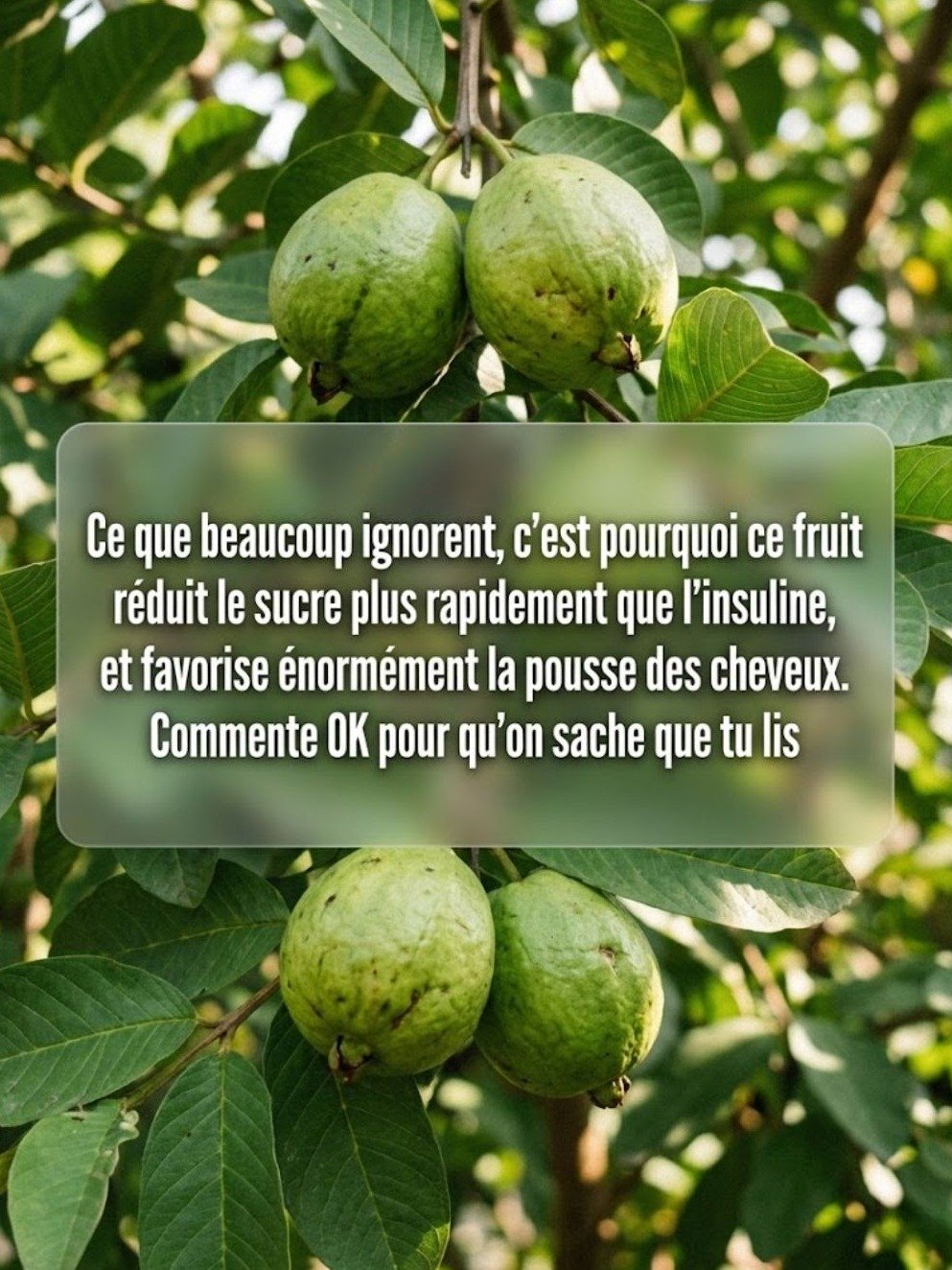 Le Secret Tropical pour des Cheveux de Rêve et une Glycémie Stable : 4 Recettes Miracles à Tester ABSOLUMENT !