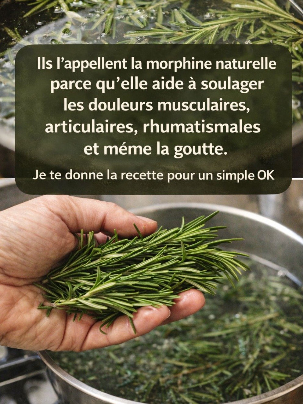 Incroyable : Cette "Morphine Naturelle" Soulage Vos Douleurs Instantanément (et ce n'est pas ce que vous croyez) !