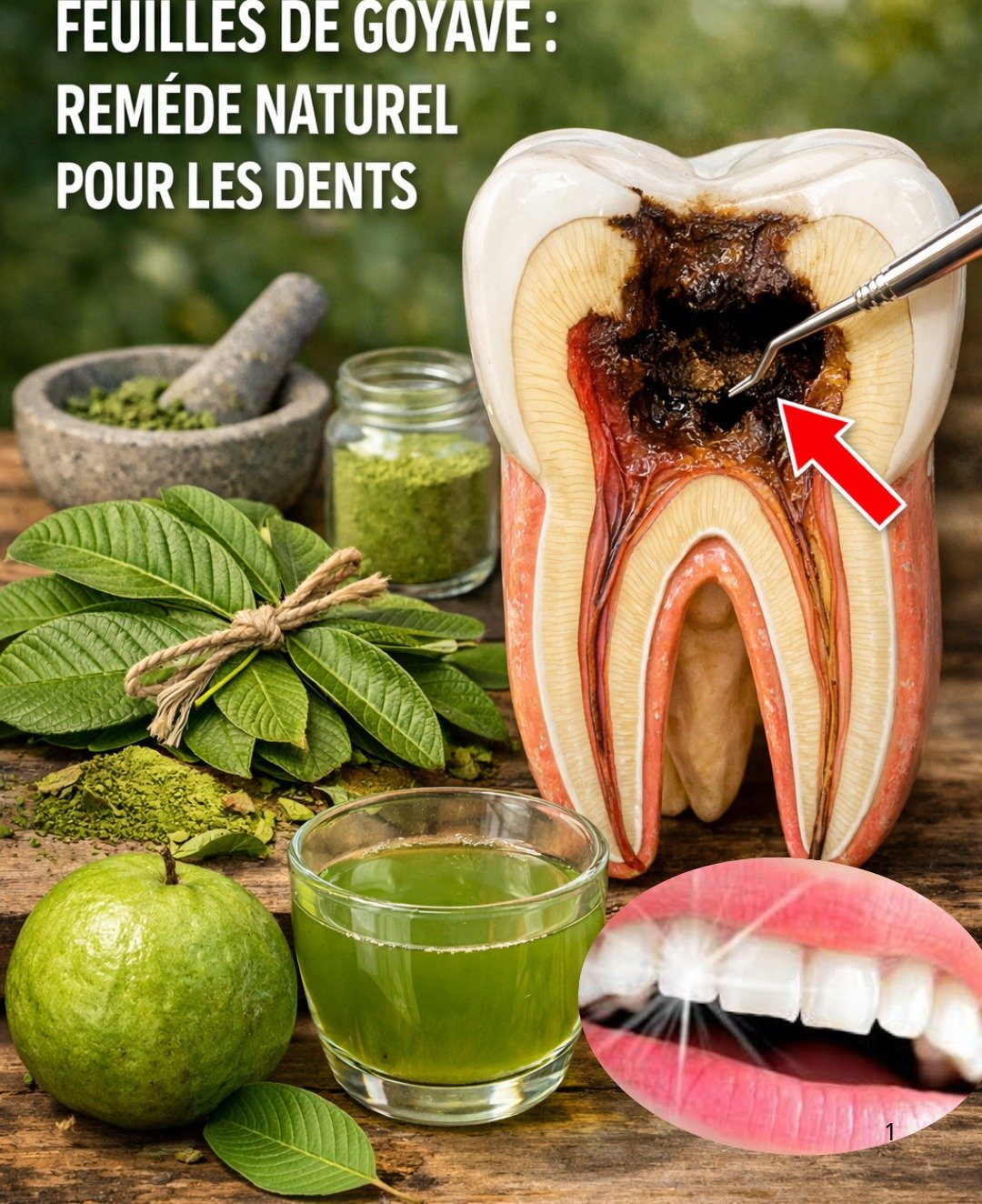 Les 3 meilleures façons d'intégrer facilement les feuilles de goyave à votre routine bucco-dentaire quotidienne