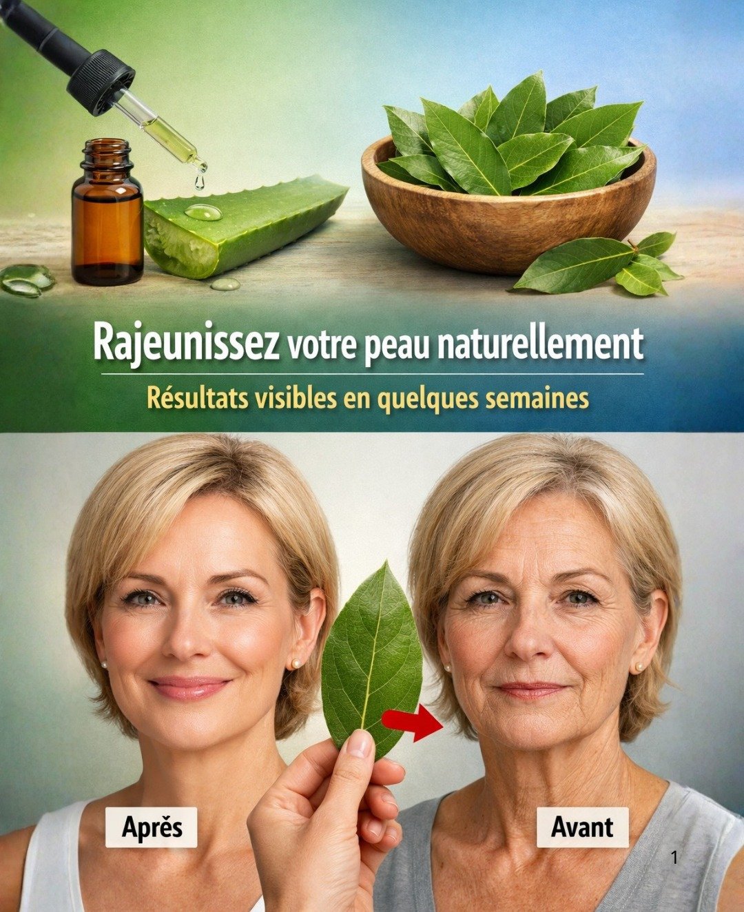 La feuille de laurier : L'allié naturel pour une peau plus ferme et rajeunie après 50 ans ?