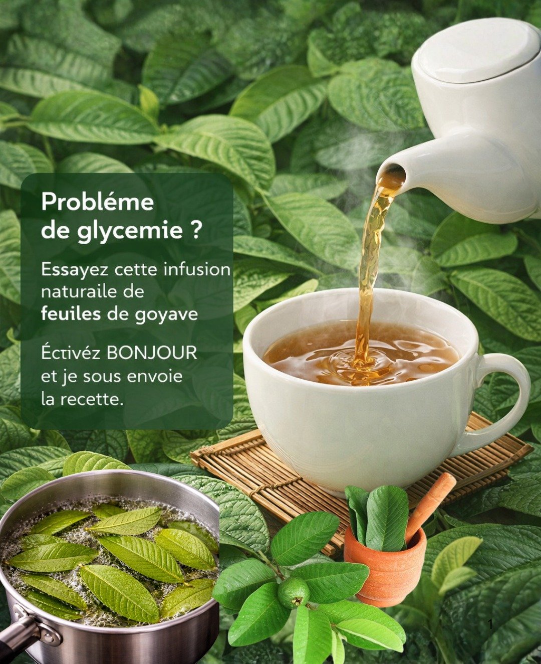 Le thé aux feuilles de goyave : un rituel matinal simple pour soutenir l'équilibre de votre glycémie au quotidien