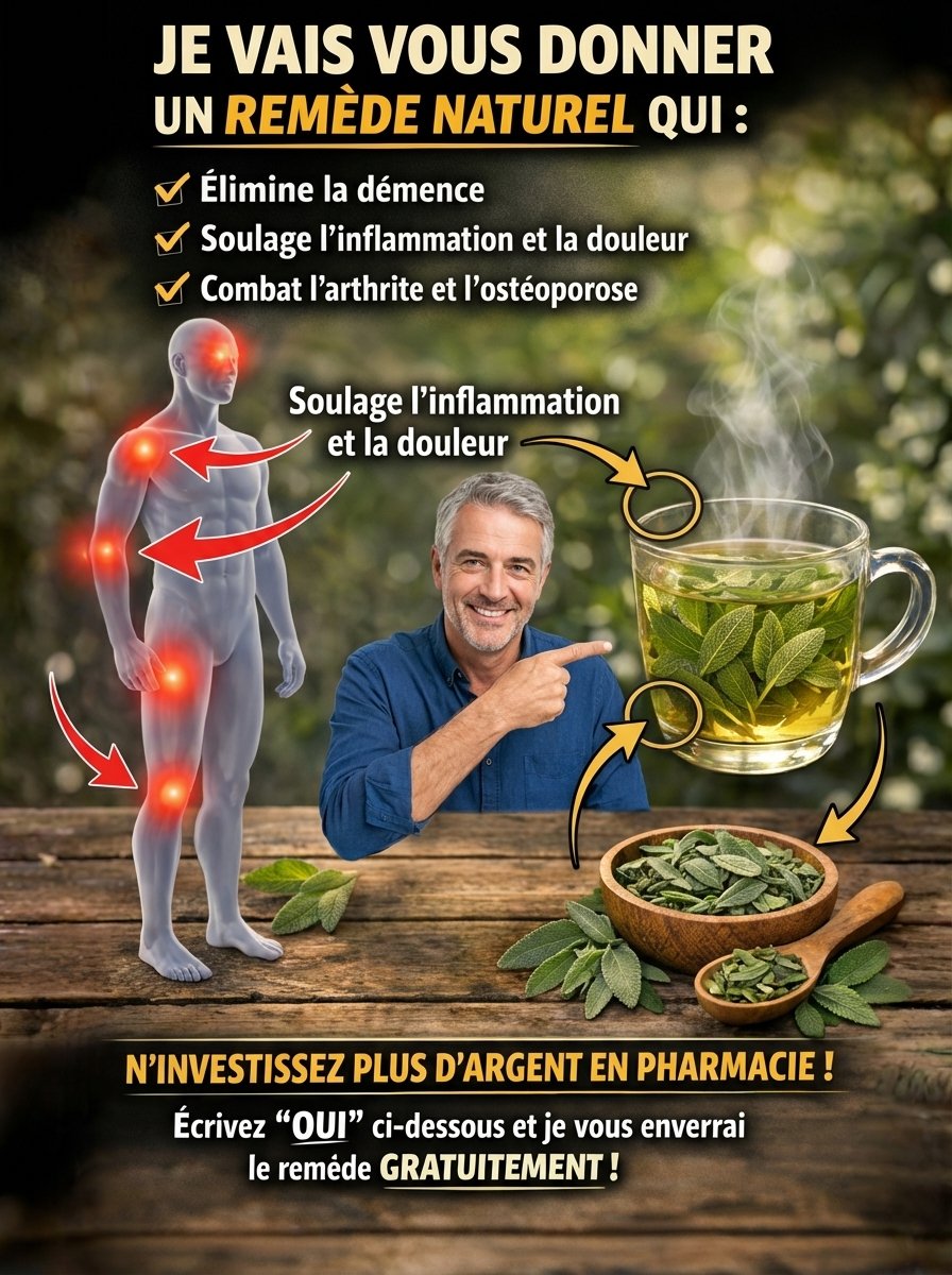 Le Secret Millénaire Révélé : 12 Bienfaits Étonnants des Feuilles de Sauge que VOUS DEVEZ Connaître !