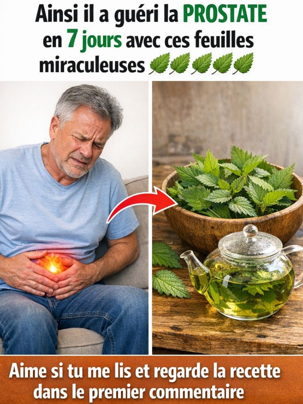 Découvrez LE Rituel Nocturne Secret qui Va Révolutionner Vos Matins : La Racine d'Ortie, Votre Allié Inattendu !