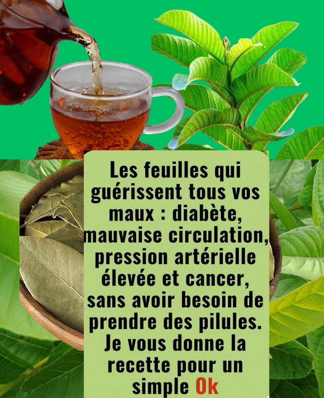 Les feuilles qui soutiennent votre bien-être : une infusion naturelle pour le diabète, la circulation et l'hypertension