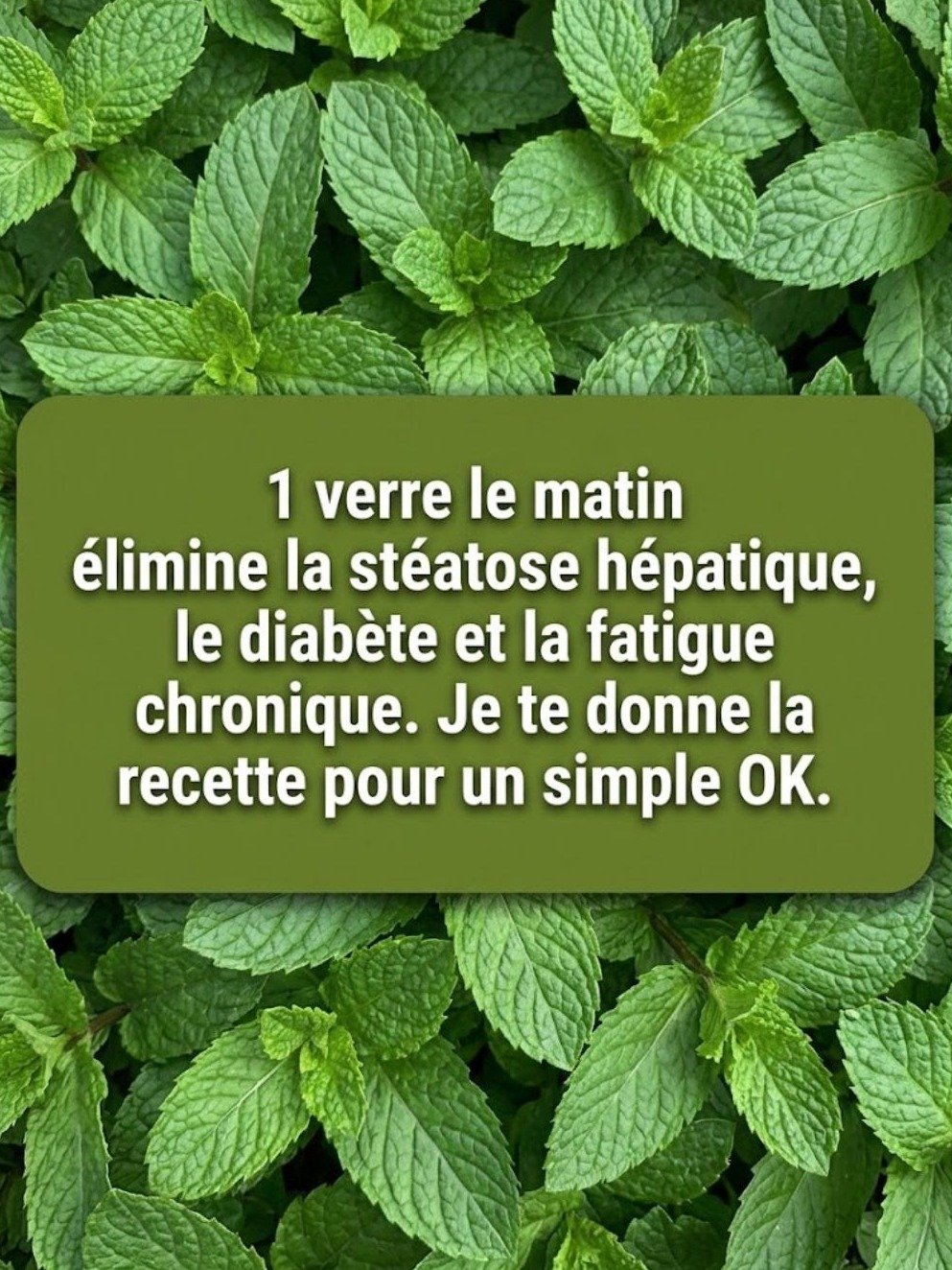 Le Secret OUBLIÉ de la Menthe et du Citron : 8 Bienfaits ÉPOUSTOUFLANTS pour Rajeunir, Détoxifier et Booster Votre Énergie Instantanément !