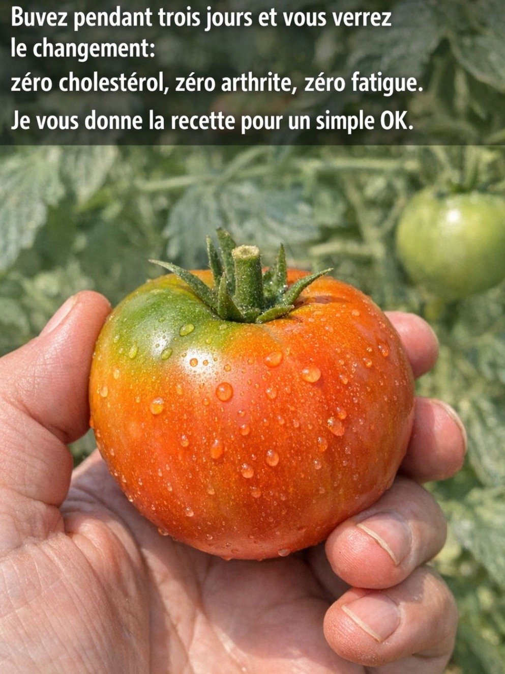 Le Secret Bien Gardé : Buvez CECI chaque matin pour un Cholestérol Équilibré et Zéro Inflammation !