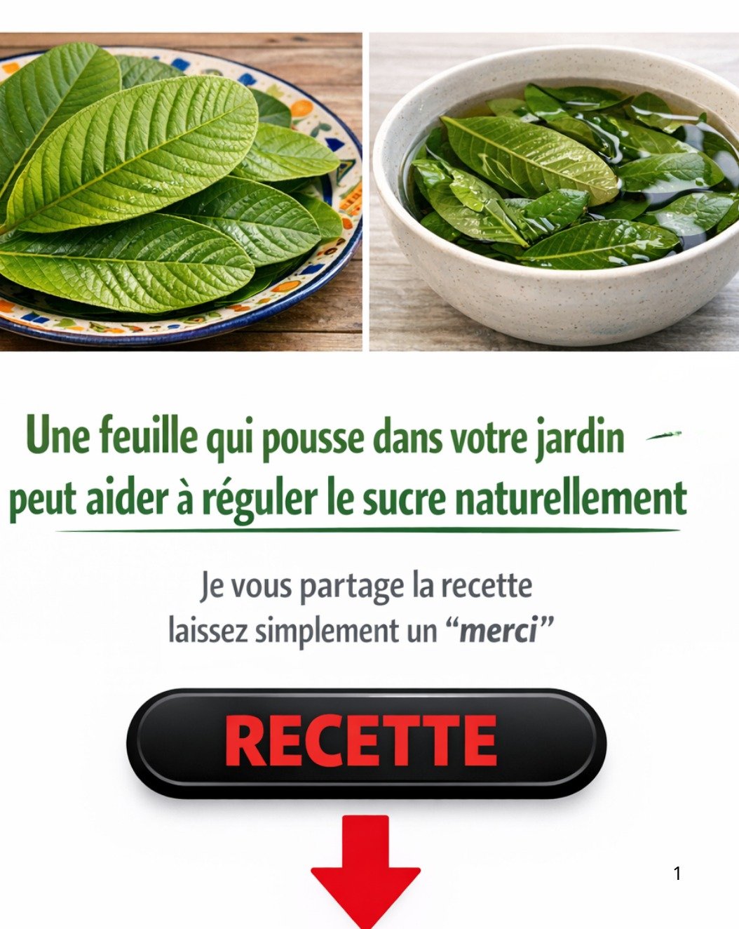 STOP à l'Hyperglycémie : Ce FRUIT TROPICAL Méconnu VA RÉVOLUTIONNER Votre Glycémie Naturellement !
