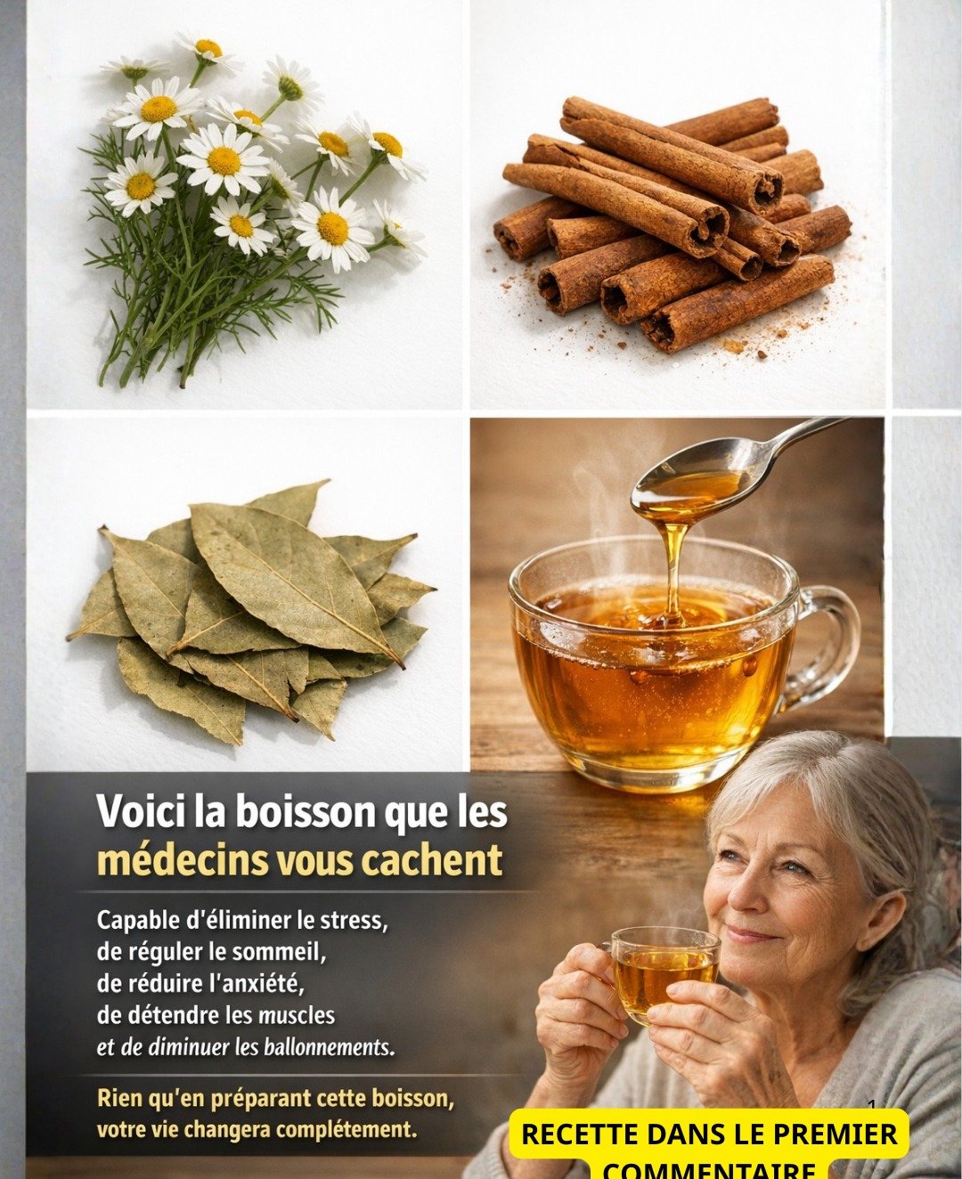 Le Moringa Révélé : La Révolution Silencieuse des Superaliments Directement Issue de la Nature