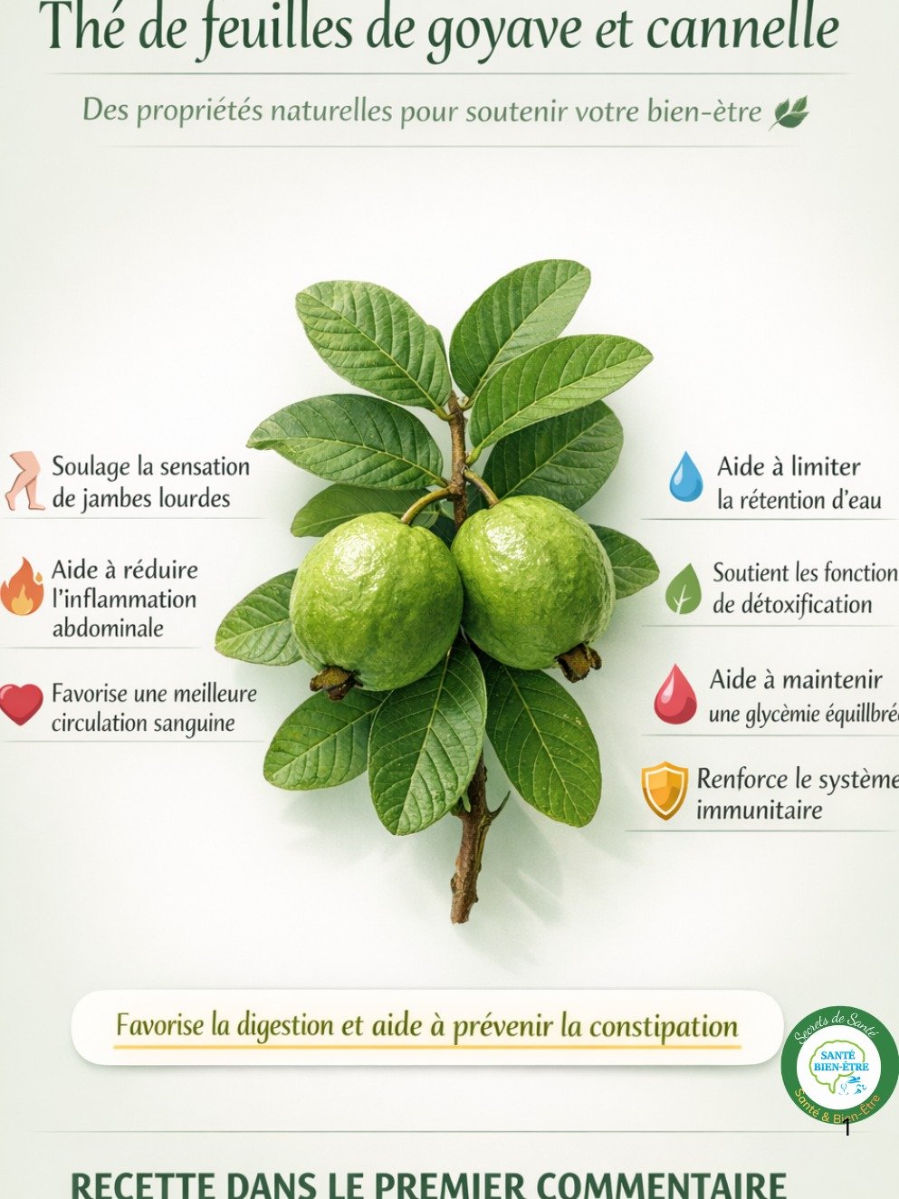 Ne Manquez Pas Ce Thé Miraculeux ! Goyave, Cannelle, Citron : 15 Bienfaits Surprenants pour Révolutionner Votre Santé Dès Aujourd'hui !