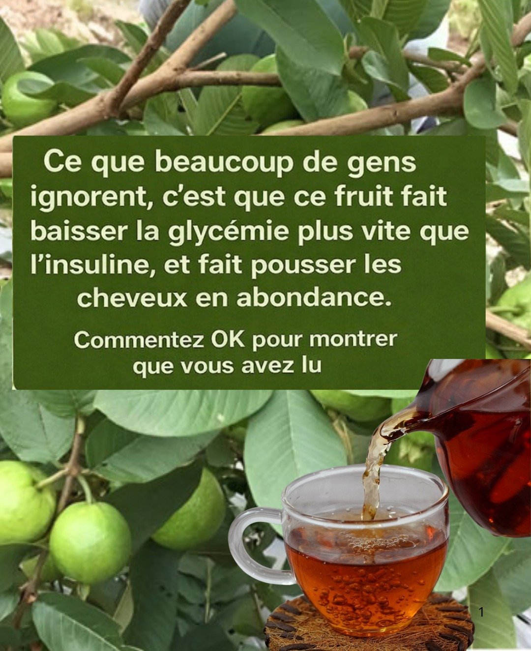 La Goyave : Un Fruit Remarquable pour la Pression Artérielle et le Bien-être Général