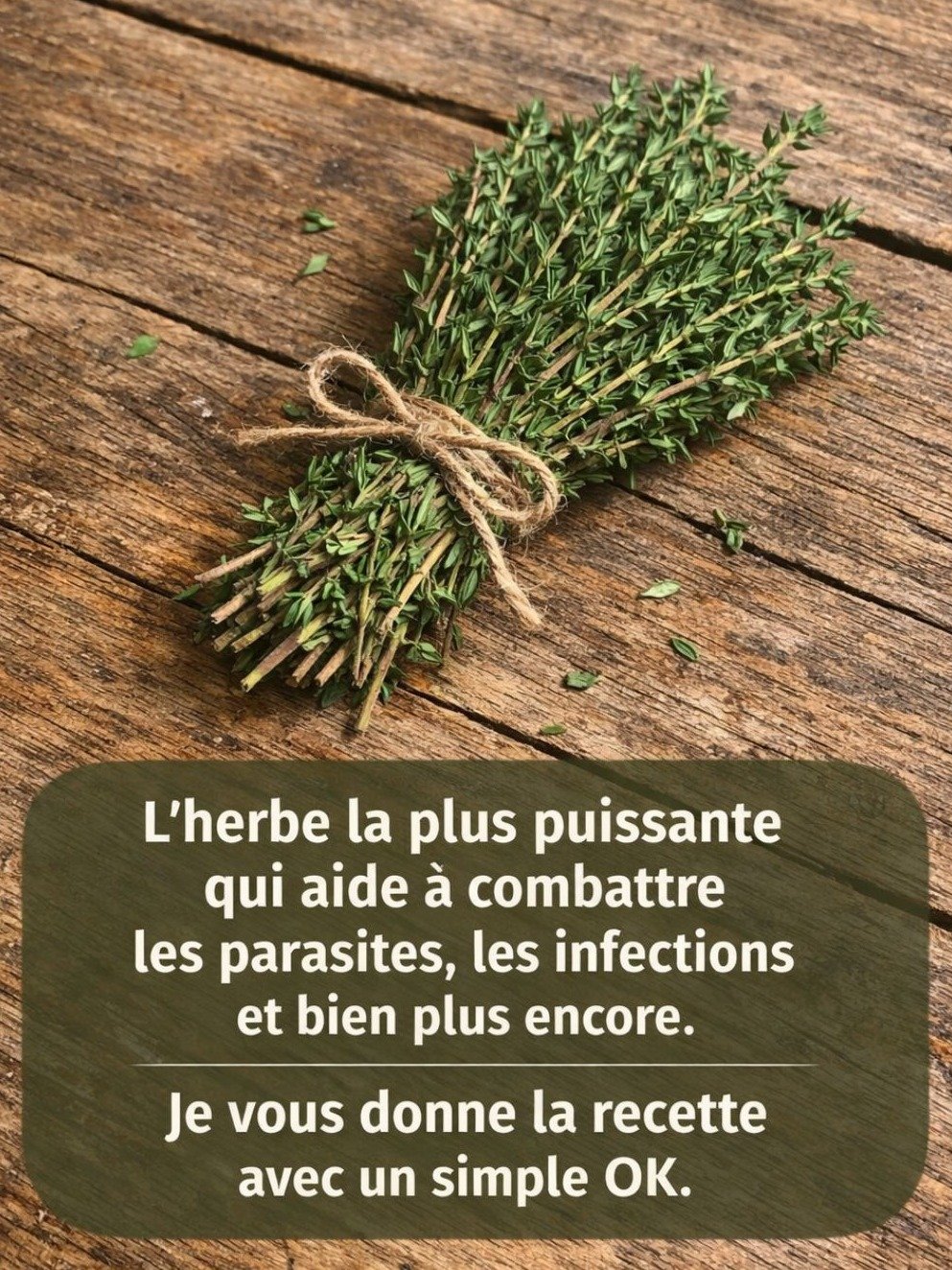 Le Thym : L'Herbe Oubliée Qui Va Révolutionner Votre Santé ! 15 Secrets Puissants Révélés