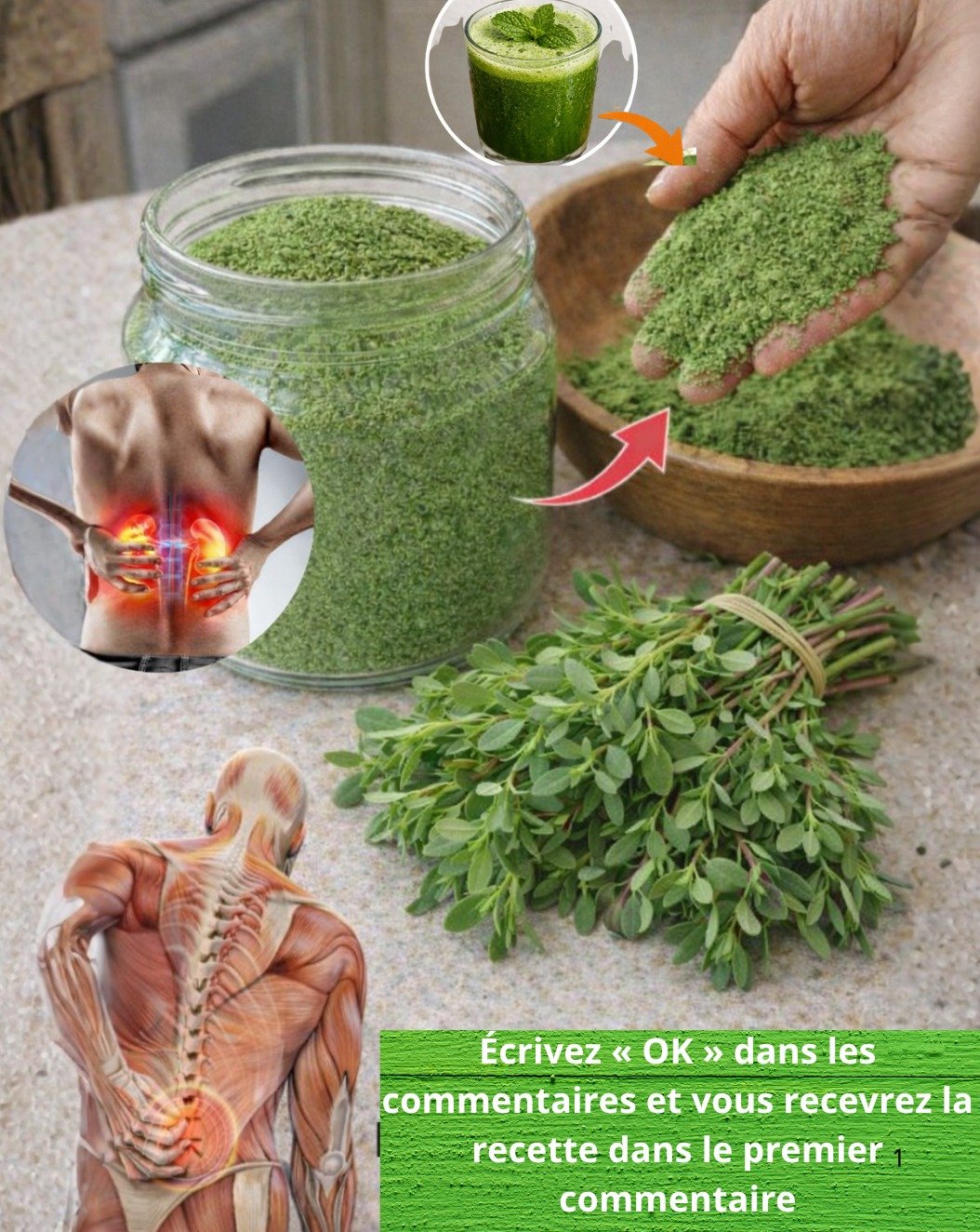 Cette "Mauvaise Herbe" Que Vous Jetez Contient PLUS d'Oméga-3 que le Poisson ! 😲 Le Secret Nutritionnel Oublié à Intégrer D'URGENCE !