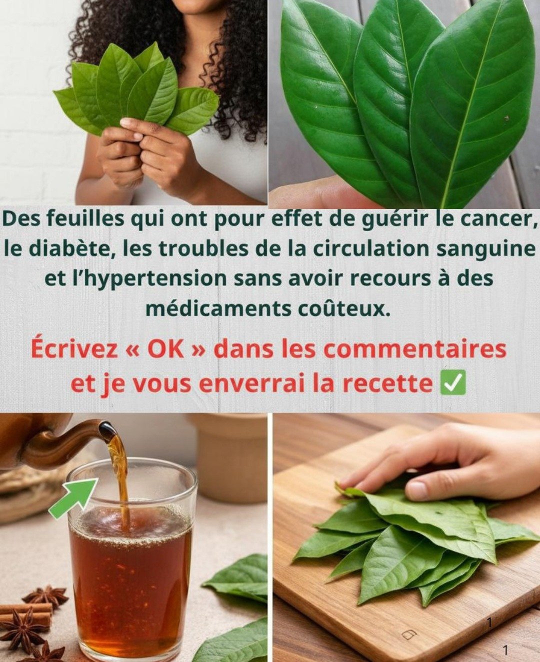 Le secret des feuilles de vông vang : une aide naturelle pour des nuits paisibles au Vietnam