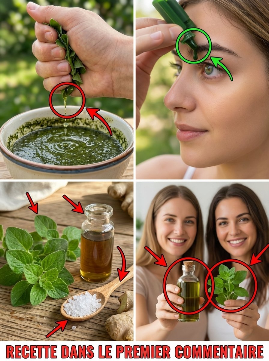 Le Secret Vert Révélé : Cette Plante Commune Pourrait Révolutionner Votre Vue et Éloigner les Ophtalmologues !