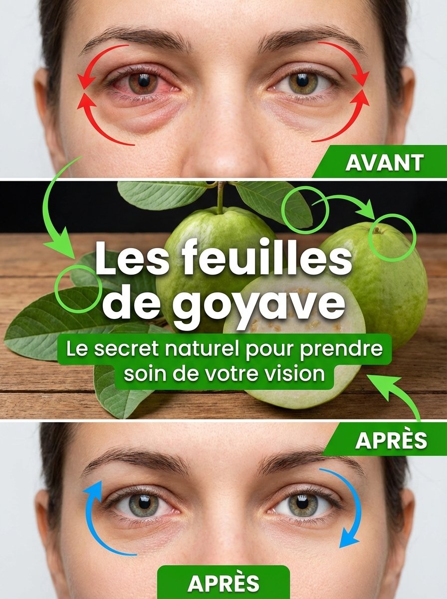 Le secret viral que personne ne vous dit : Des feuilles de goyave pour dire adieu aux yeux rouges et fatigués en 5 jours !